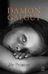 Picture of The Promise - Damon Galgut